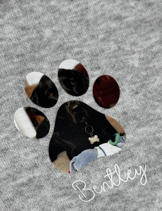 Dog walking sweatshirt