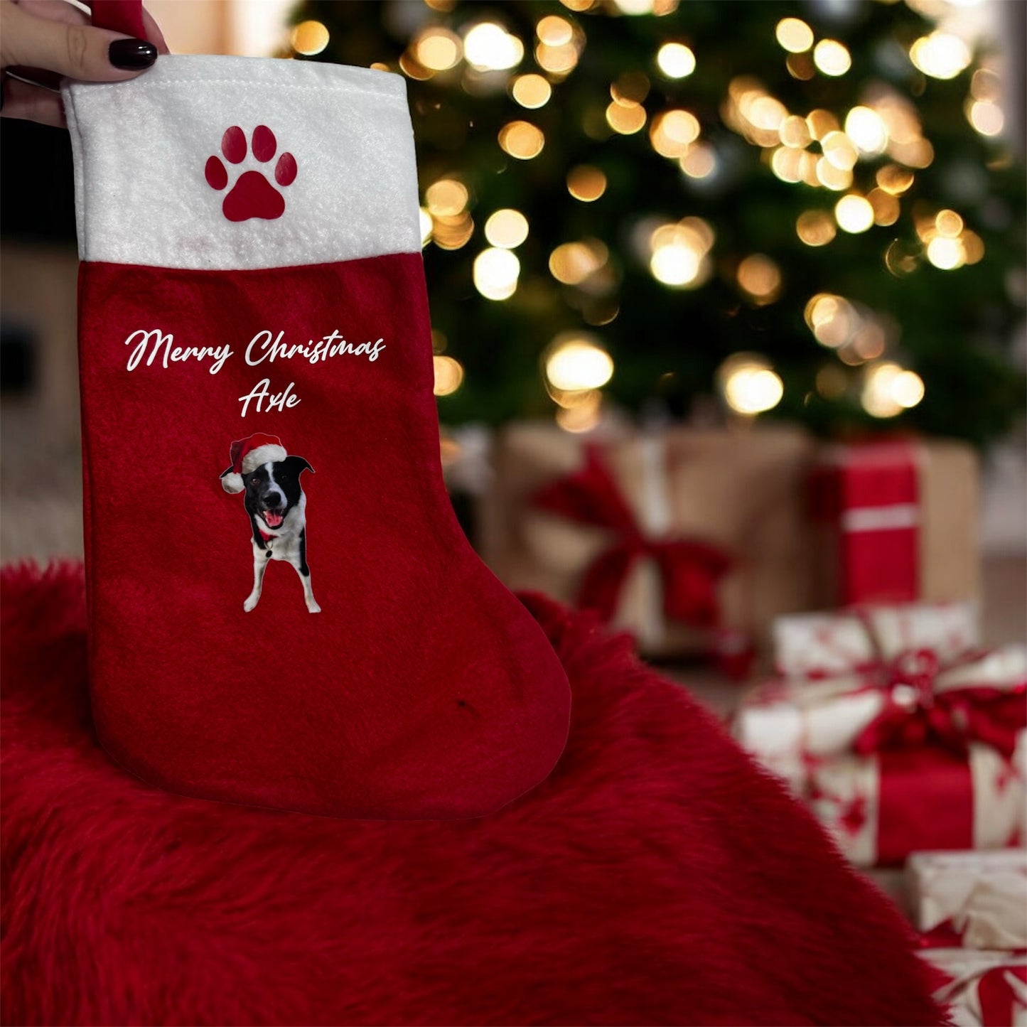 Pet stocking